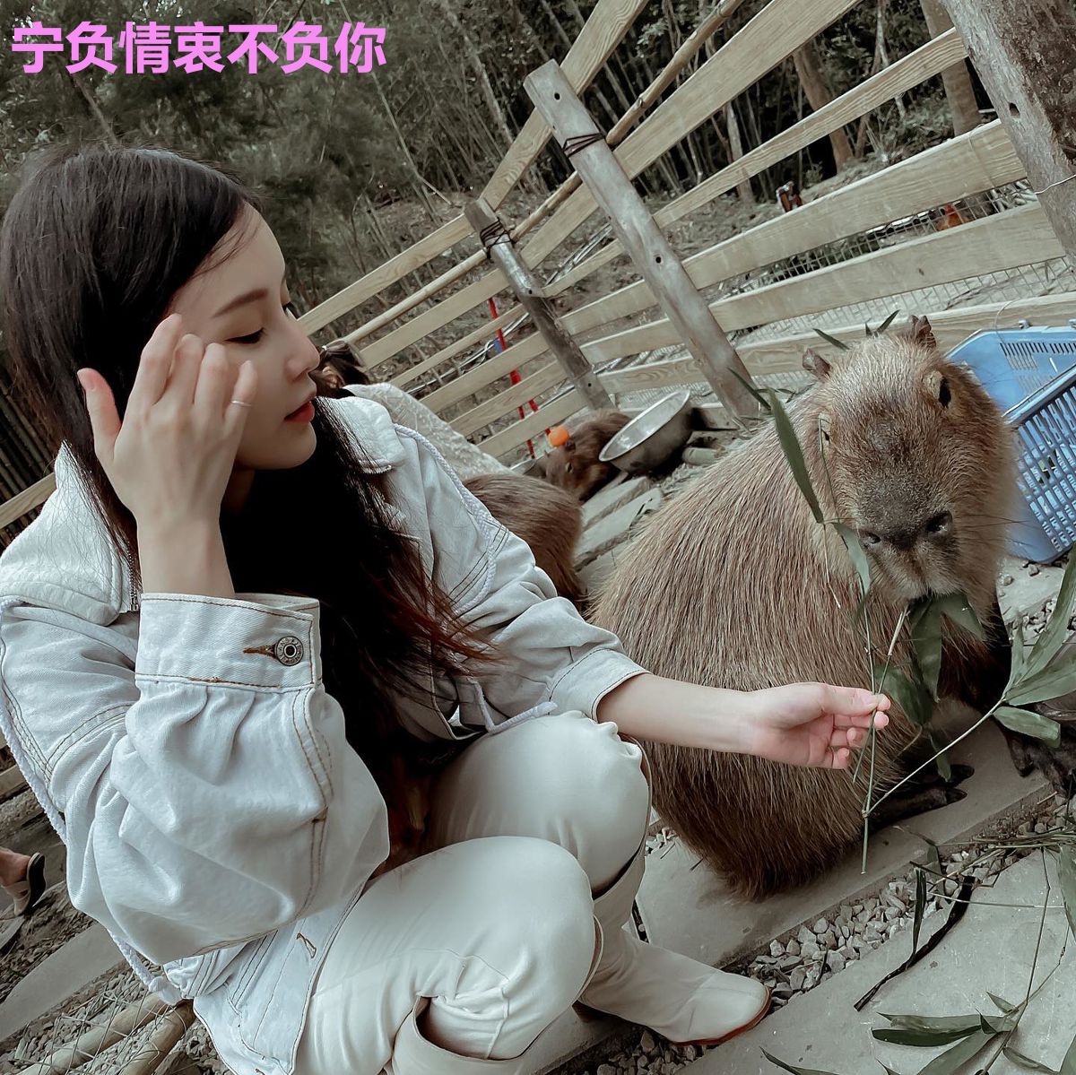 宁负情衷不负你