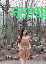 守护甜心是奥特曼［综守护甜心］
