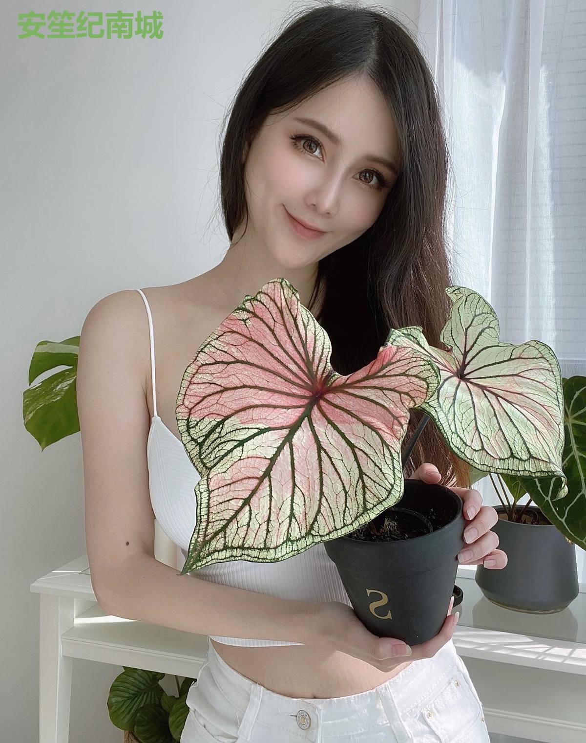 安笙纪南城