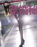 宠婚秘爱:总裁的腹黑小娇妻