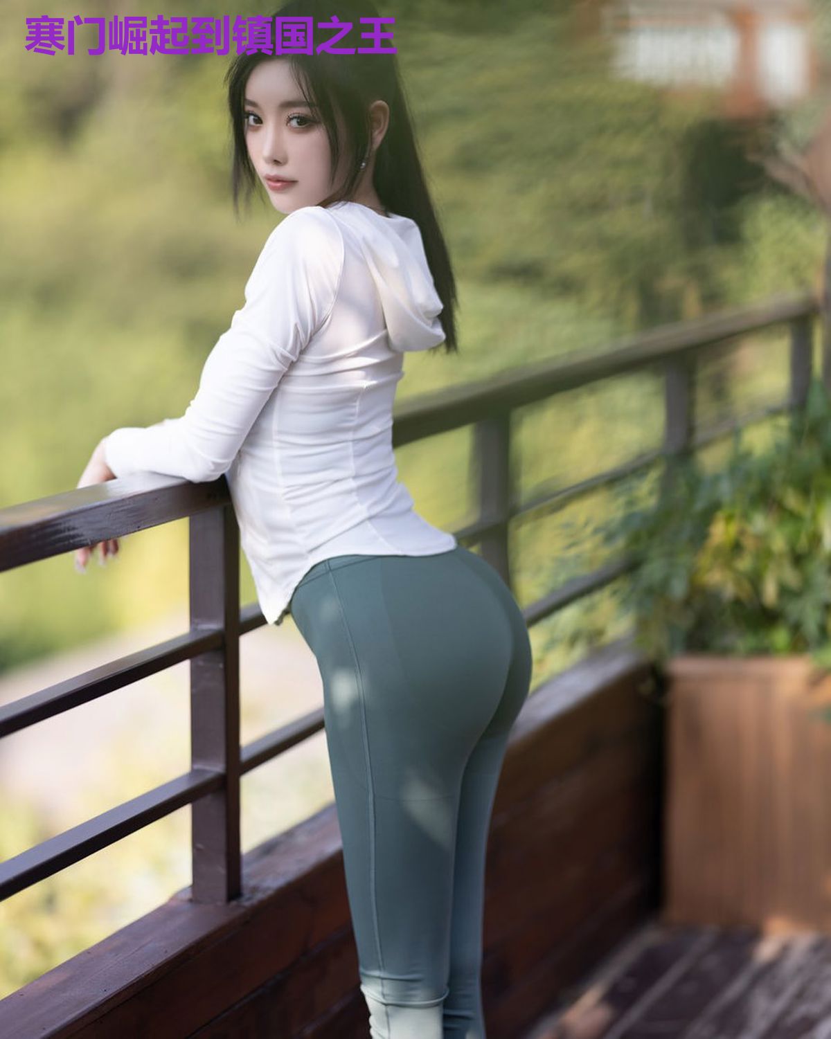 寒门崛起到镇国之王