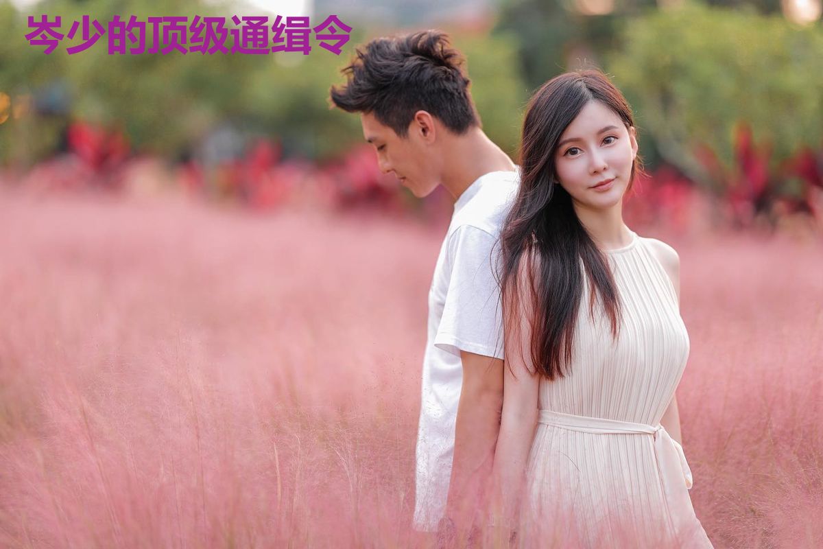岑少的顶级通缉令