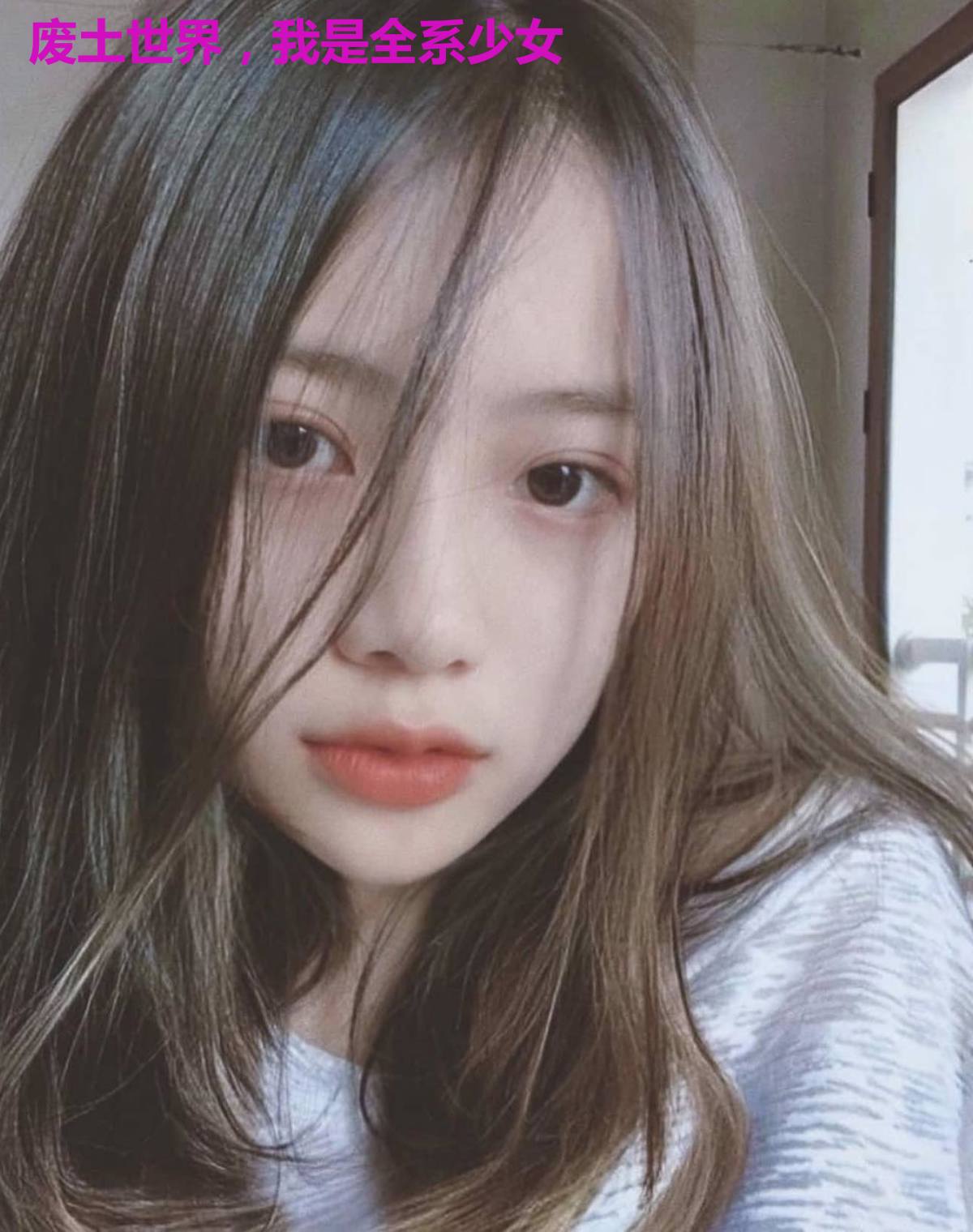 废土世界，我是全系少女