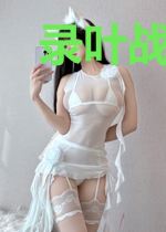 录叶战廷骁