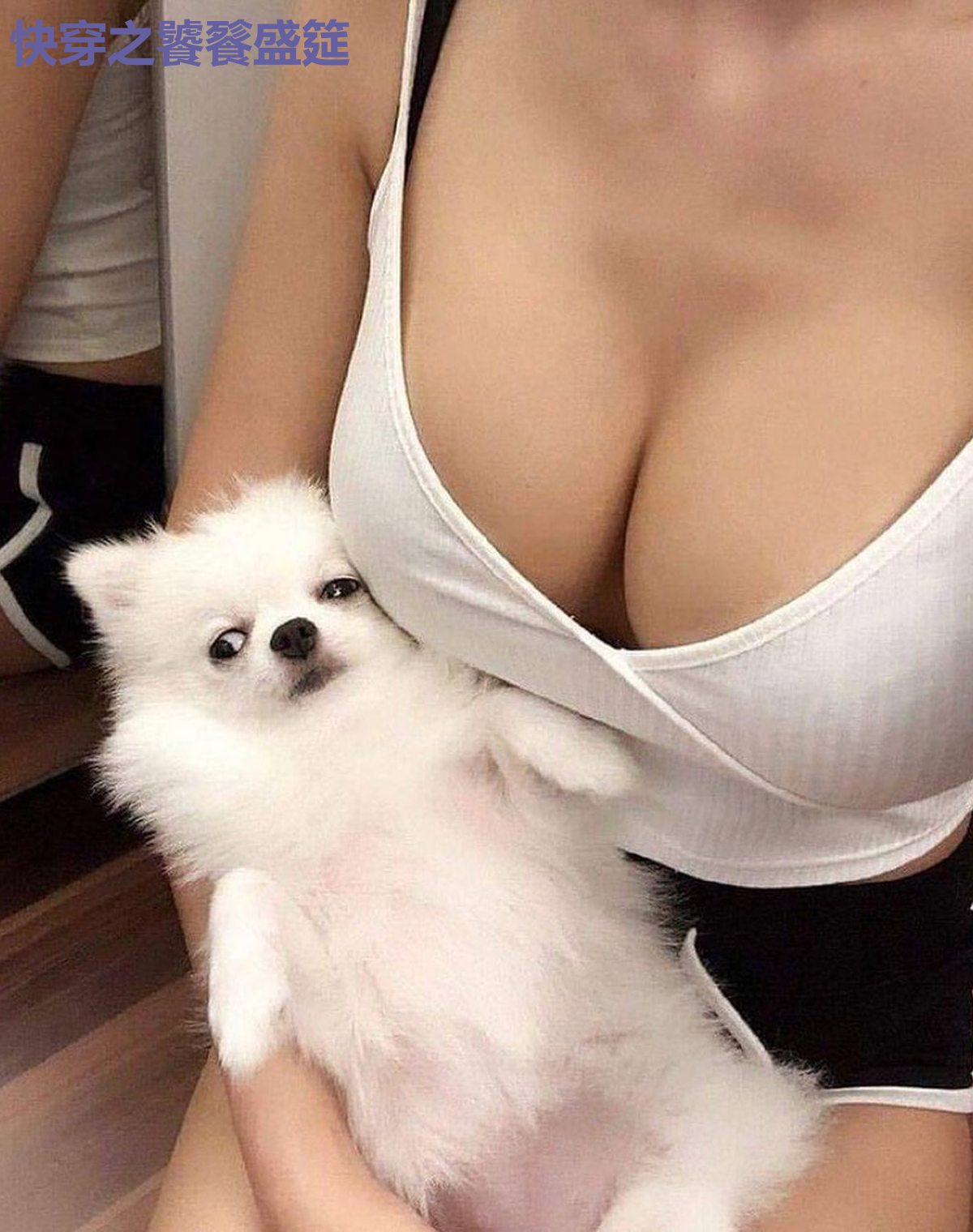 快穿之饕餮盛筵