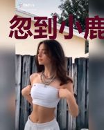 忽到小鹿栖隐处
