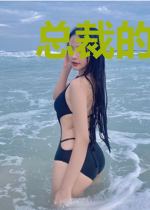 总裁的小娇妻