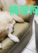 情深何处唯你不变