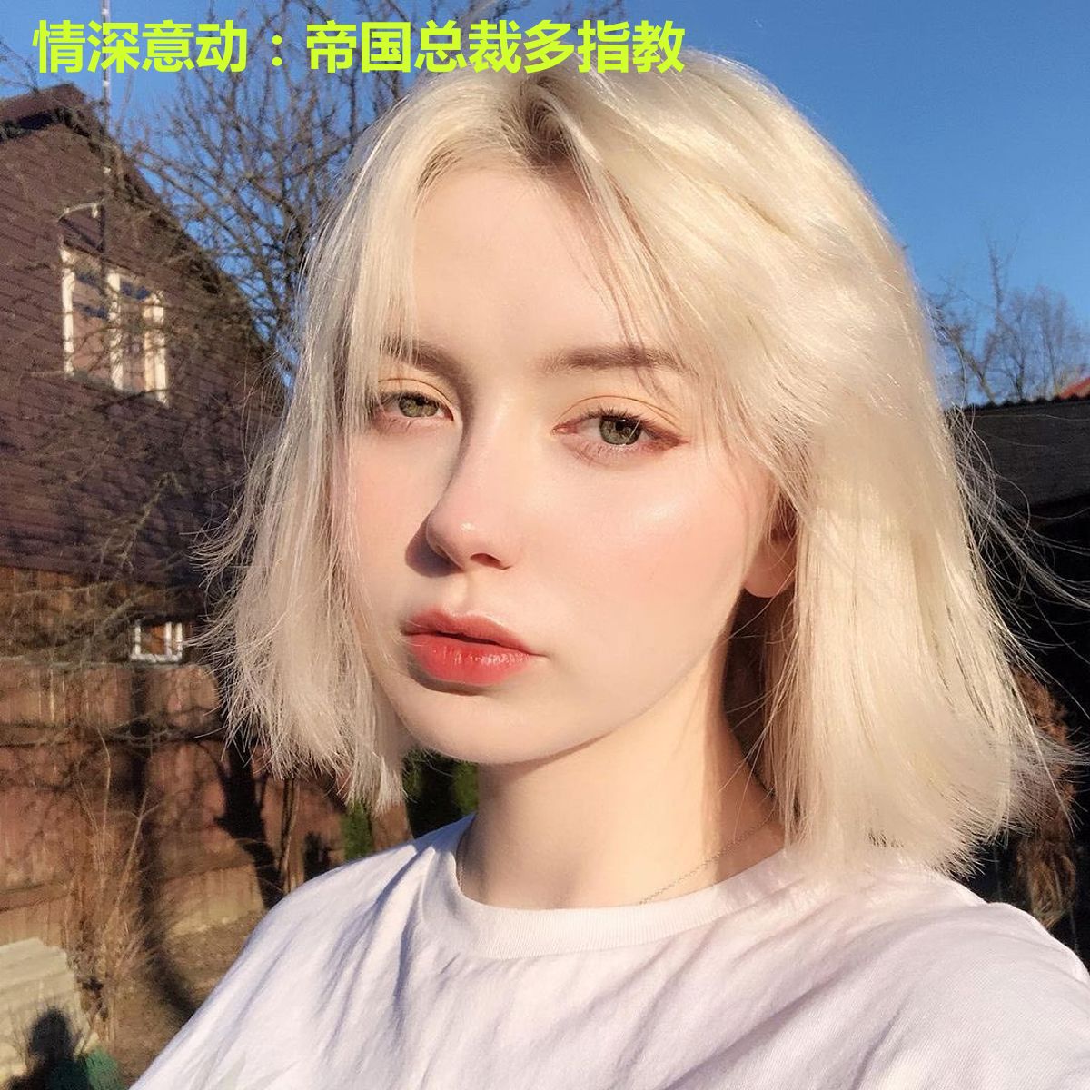 情深意动：帝国总裁多指教