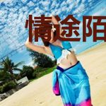 情途陌路：司少请放手