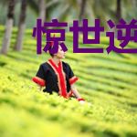 惊世逆袭：盛宠逆天杀妃