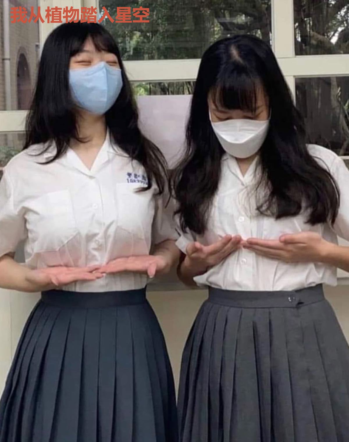 我从植物踏入星空