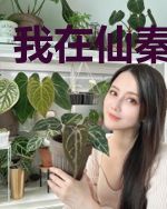 我在仙秦当武夫