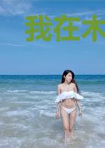 我在木叶带着斩魄刀