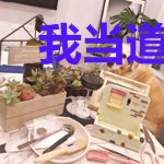 我当道士的那些事