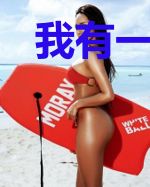 我有一座模拟城市