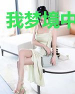 我梦境中的故事
