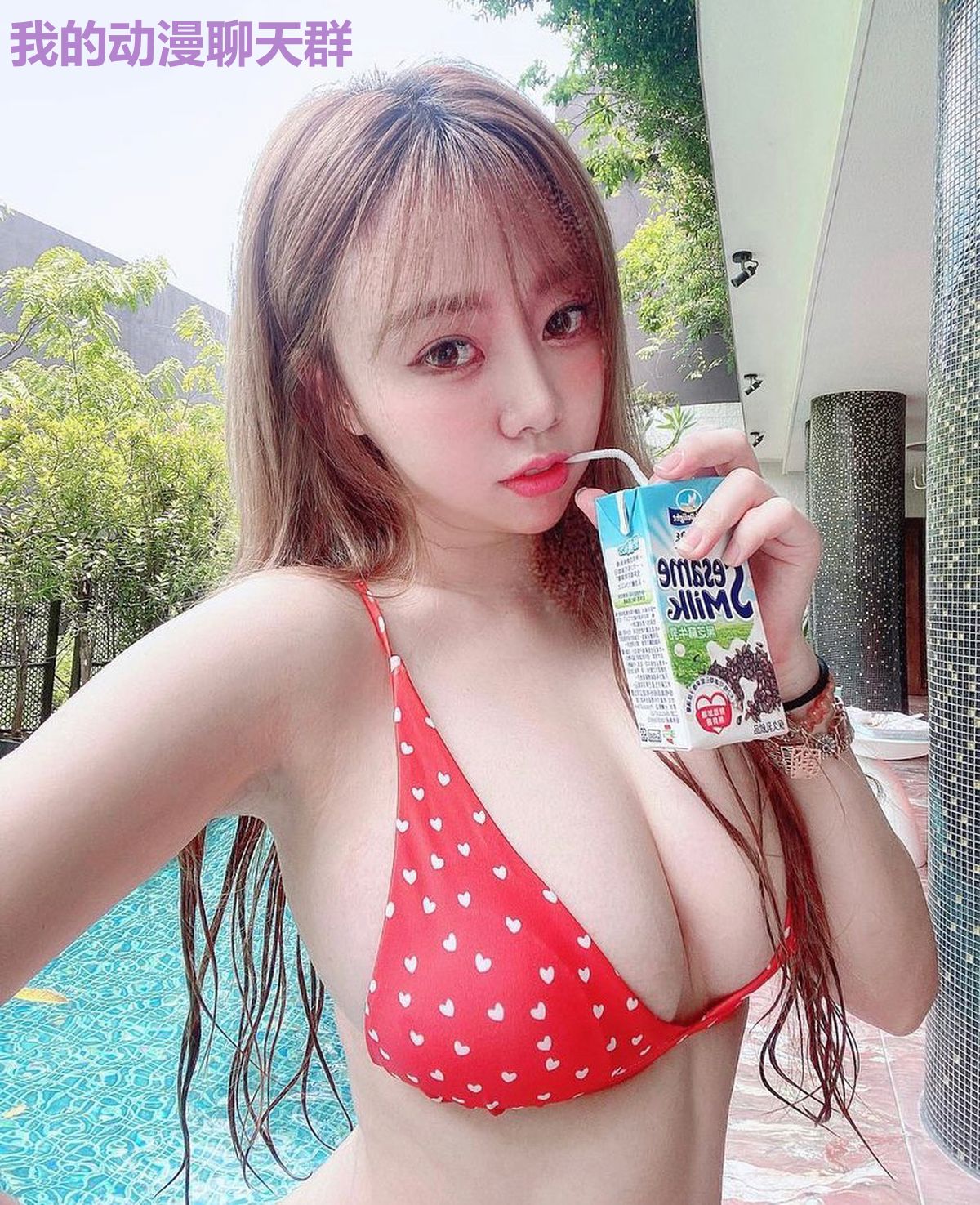 我的动漫聊天群
