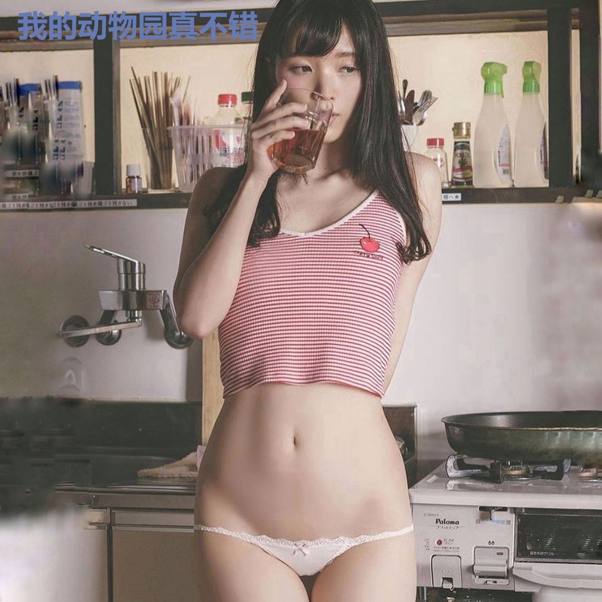 我的动物园真不错