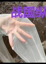 战国纵横：鬼谷子的局7