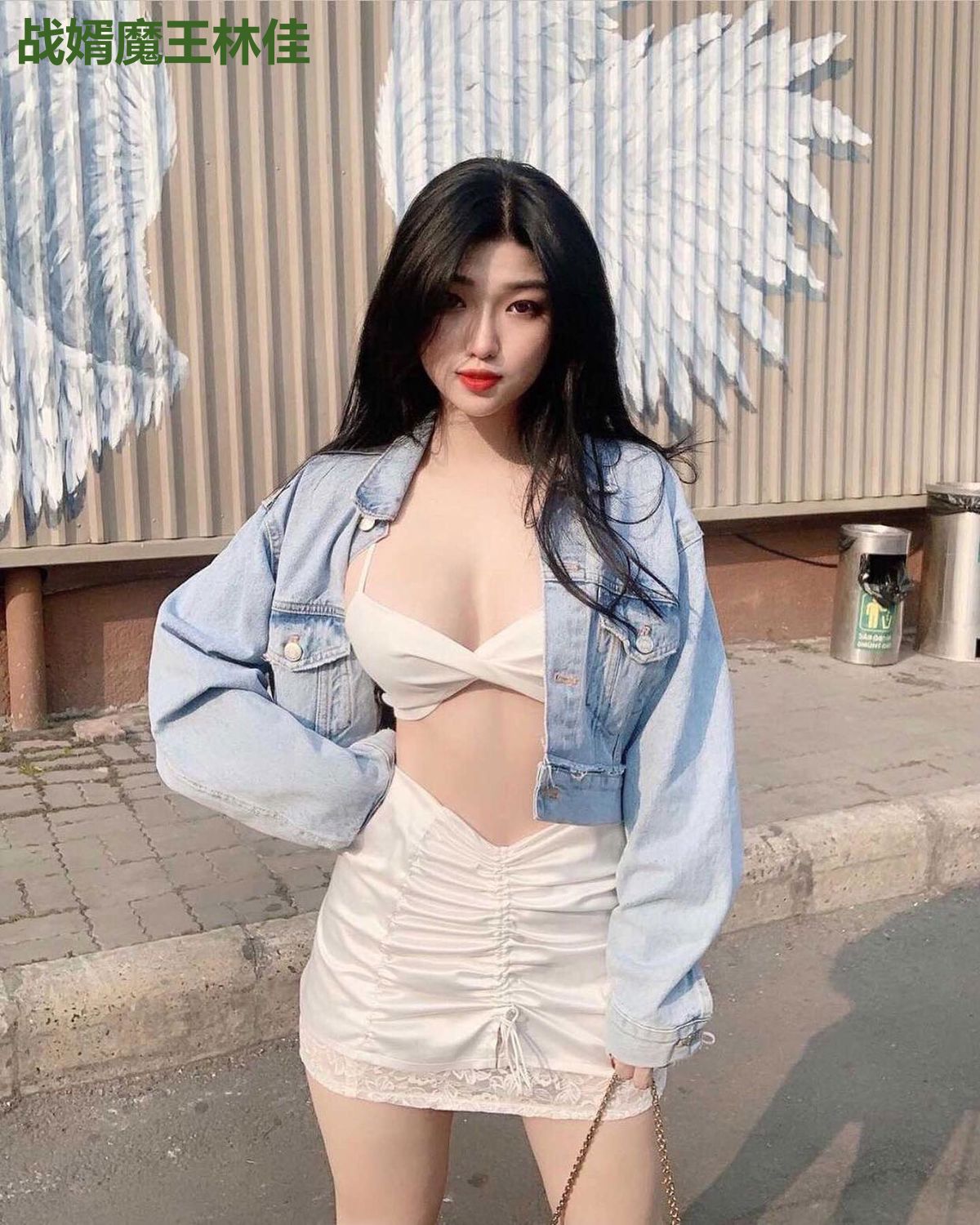 战婿魔王林佳