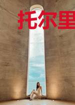 托尔里斯战纪