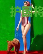 护国将军和亲公主