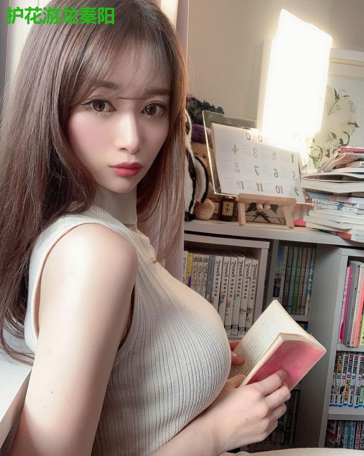 护花游龙秦阳
