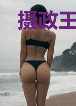 摄政王每晚被我强撸