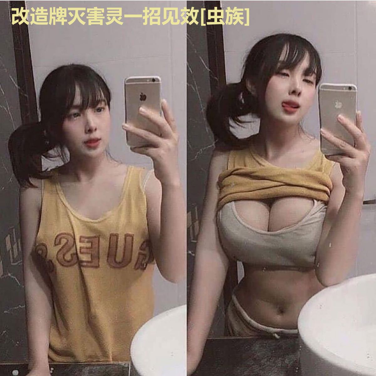 改造牌灭害灵一招见效[虫族]