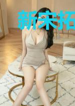 新宋拓荒者