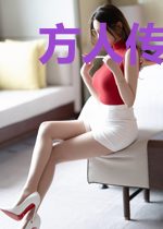 方人传:江湖路