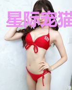星际宠猫在遨游