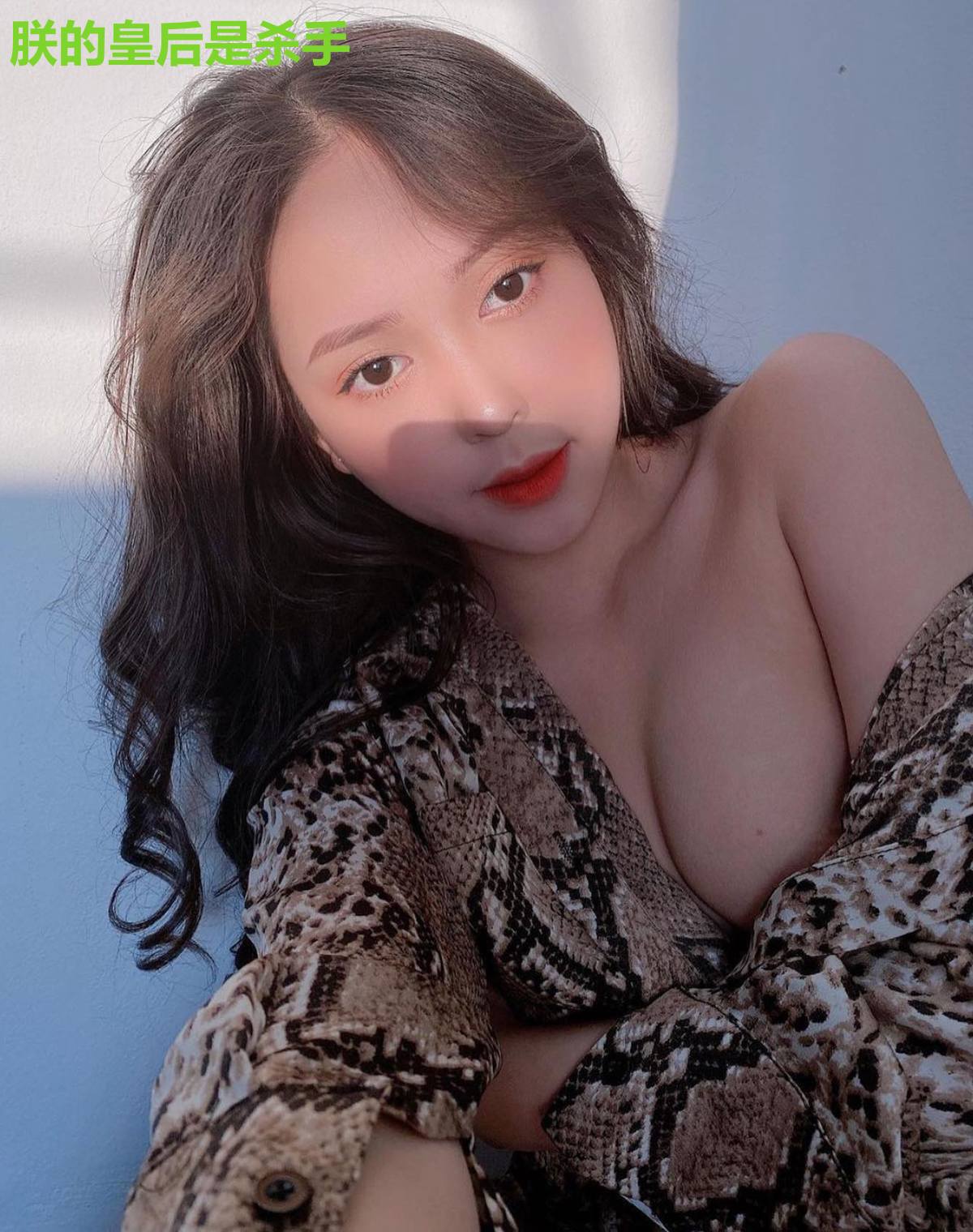 朕的皇后是杀手
