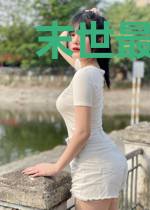 末世最强指挥官