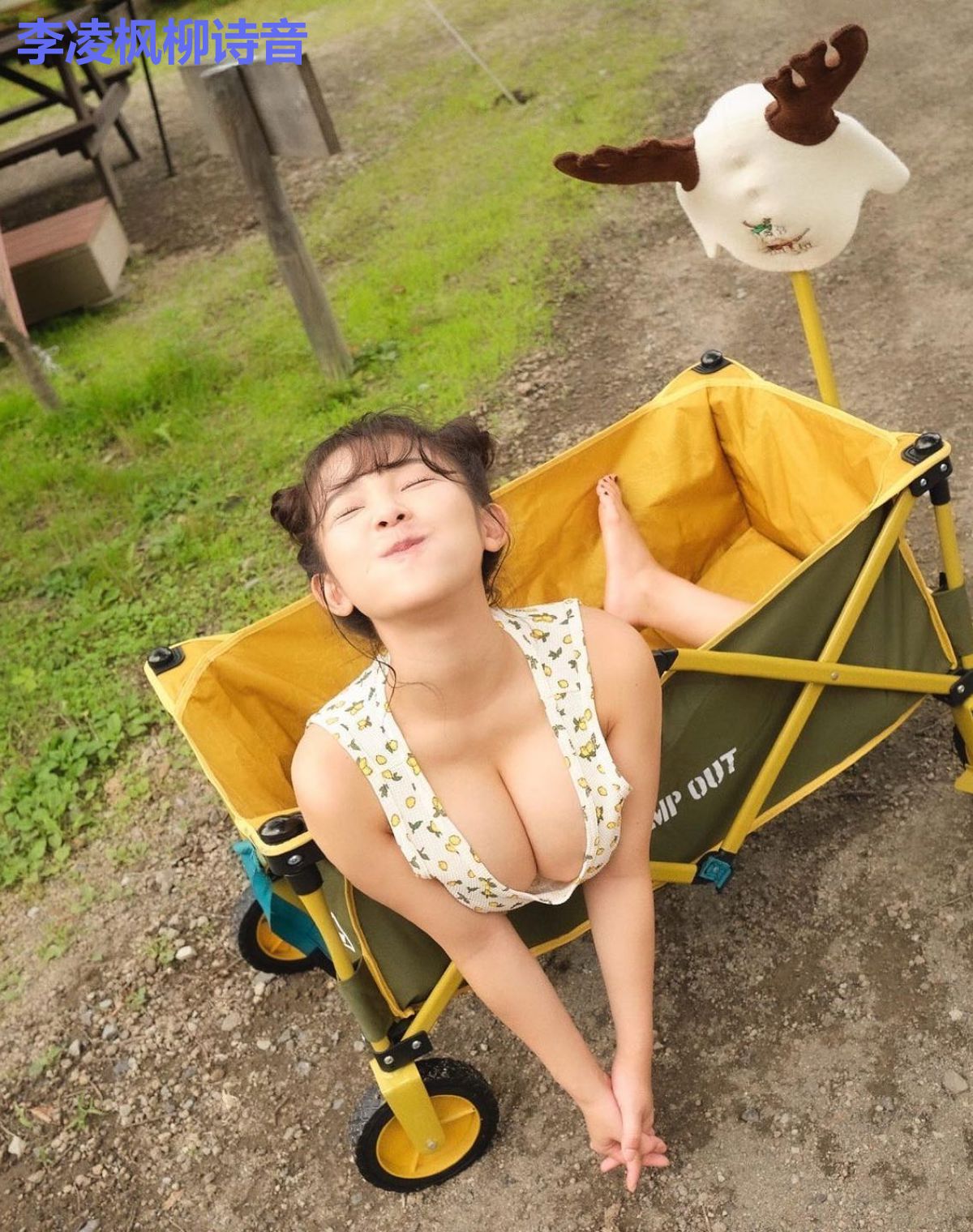 李凌枫柳诗音