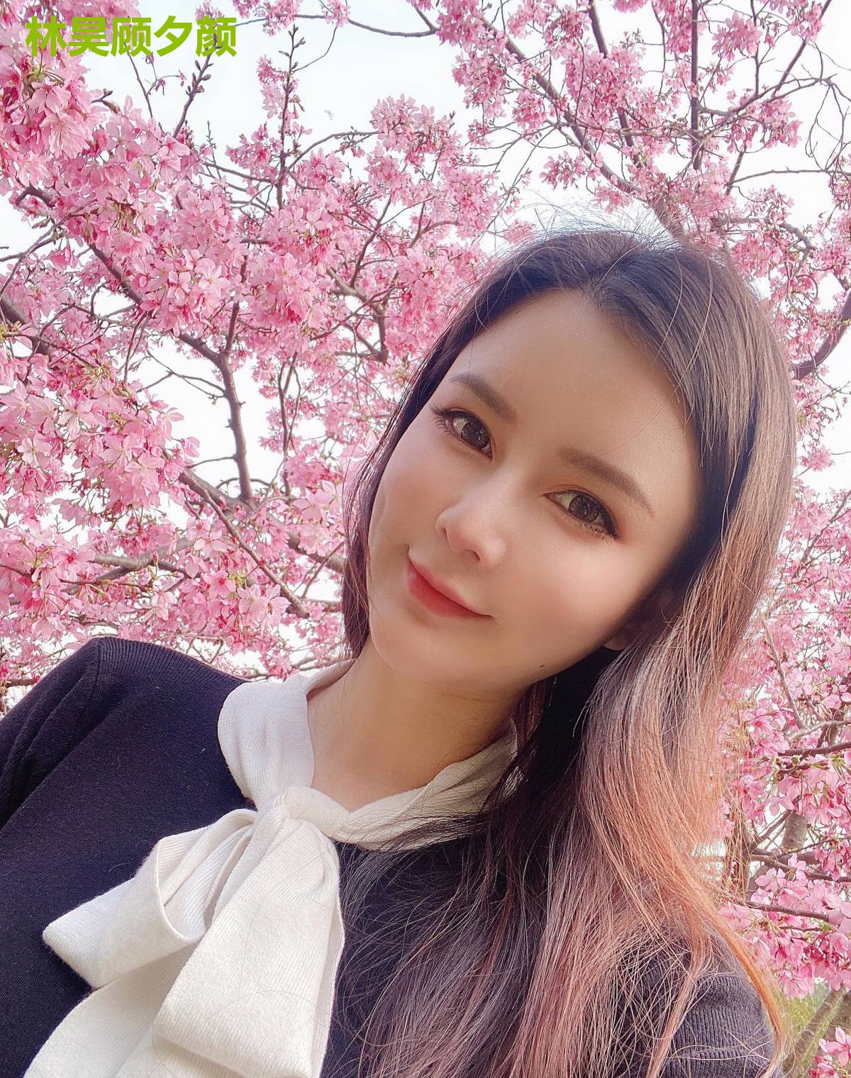 林昊顾夕颜