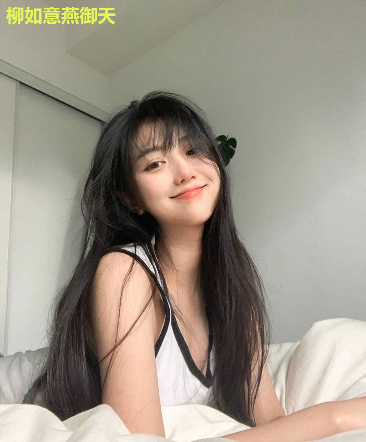 柳如意燕御天