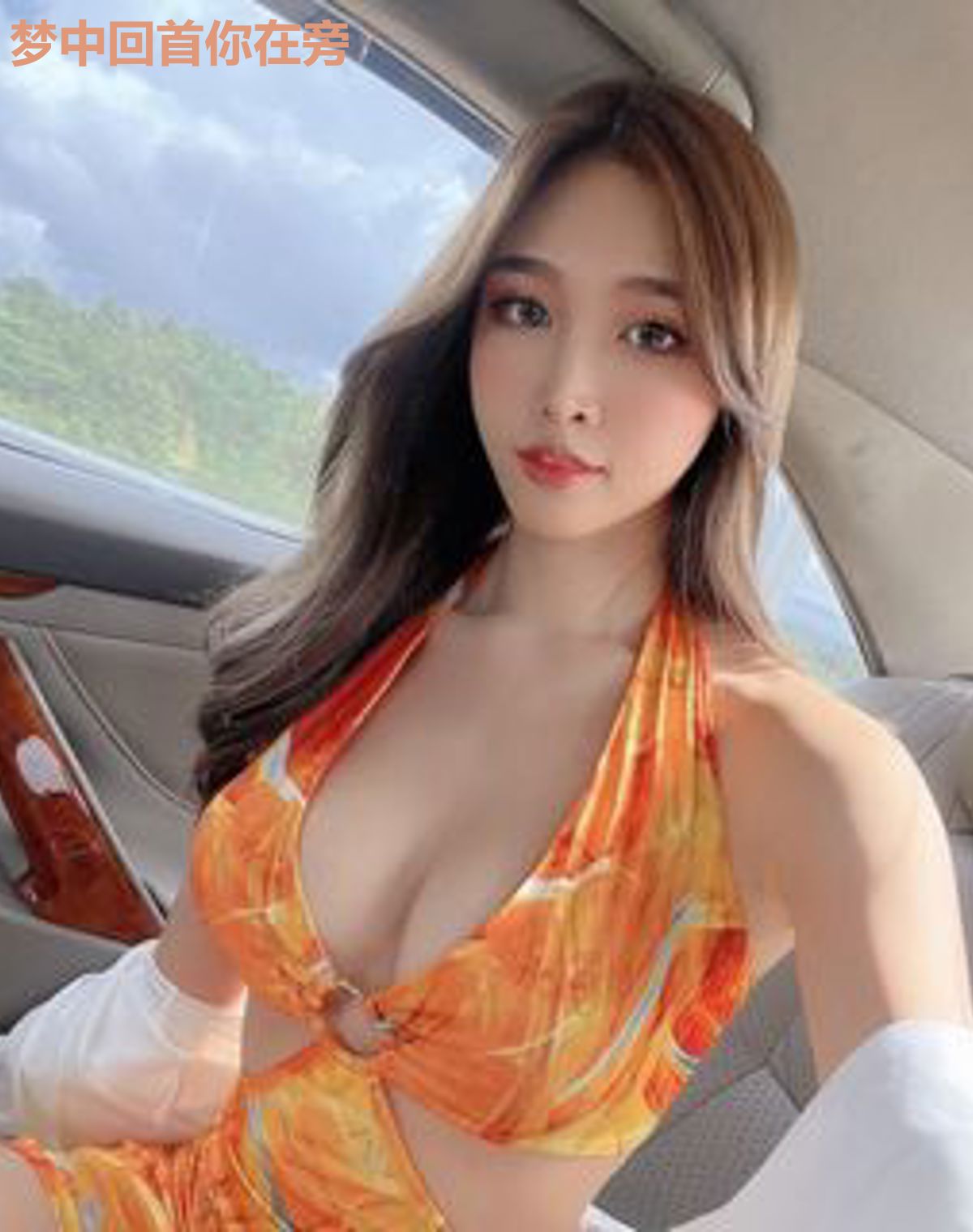 梦中回首你在旁