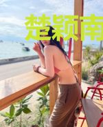 楚颖南宫辰