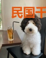 民国千金她在蛮荒忙种田