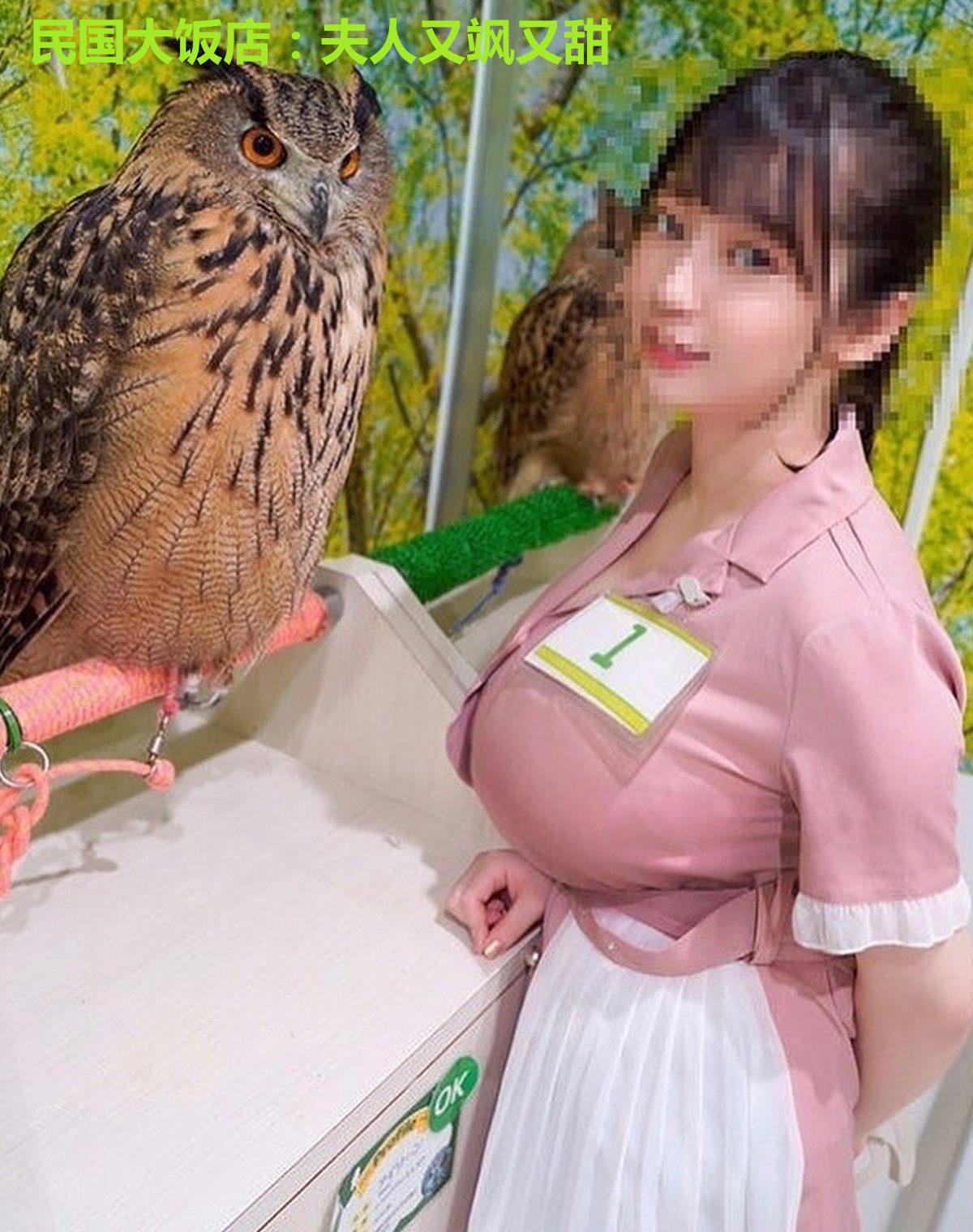 民国大饭店:夫人又飒又甜
