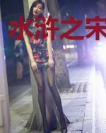 水浒之宋末风云
