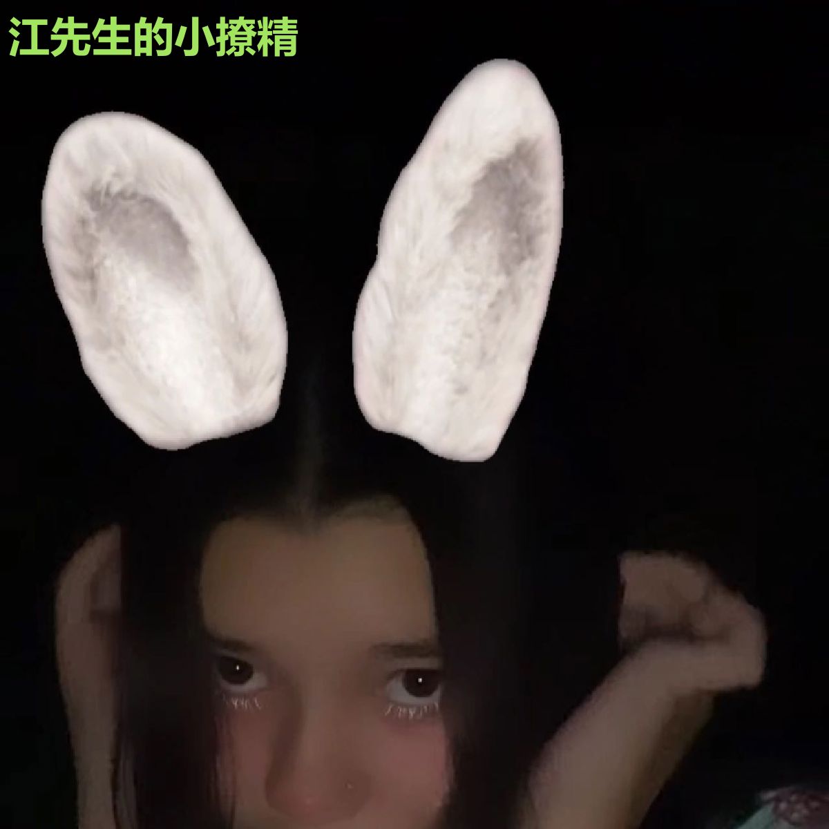 江先生的小撩精