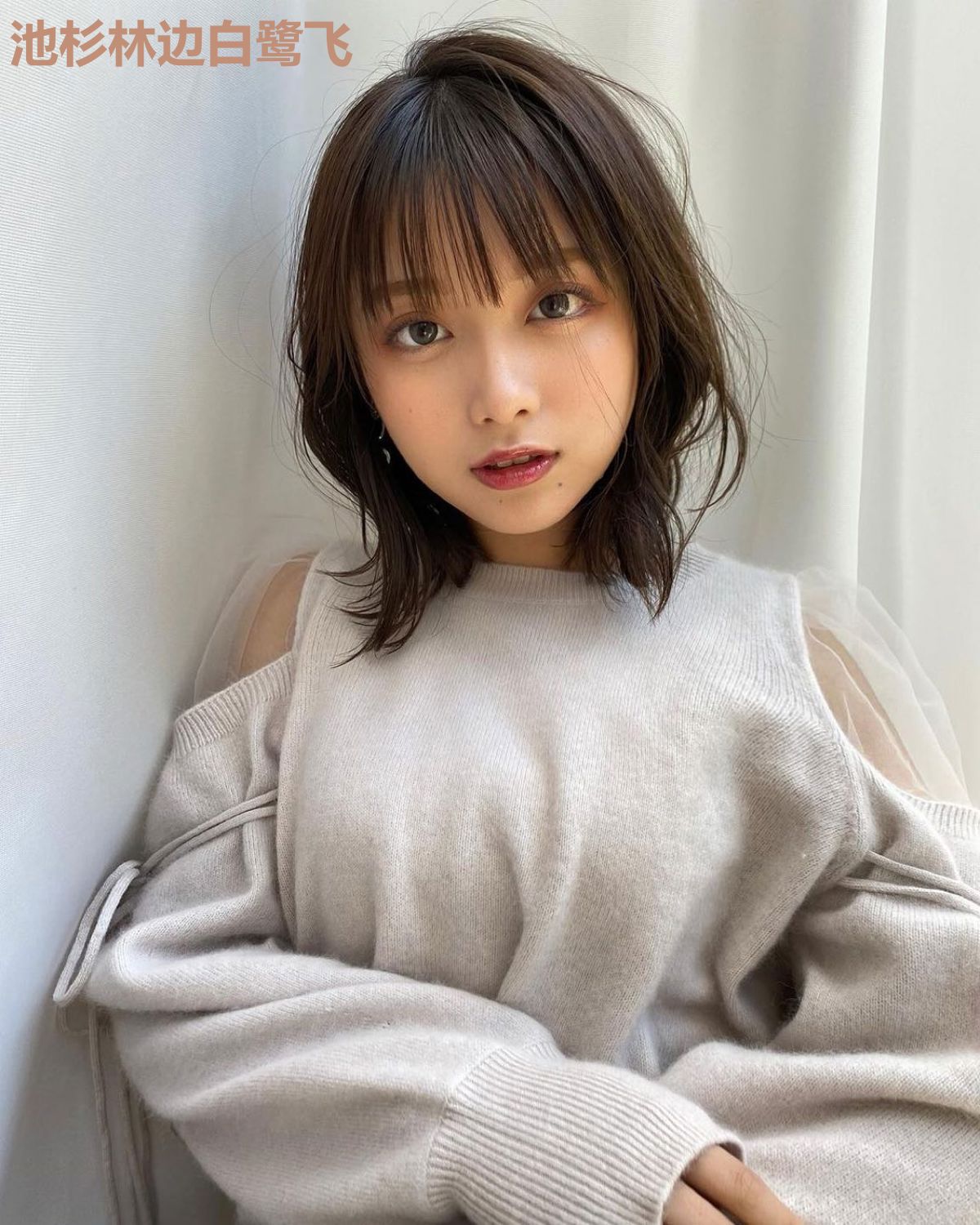 池杉林边白鹭飞