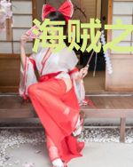 海贼之神级副船长