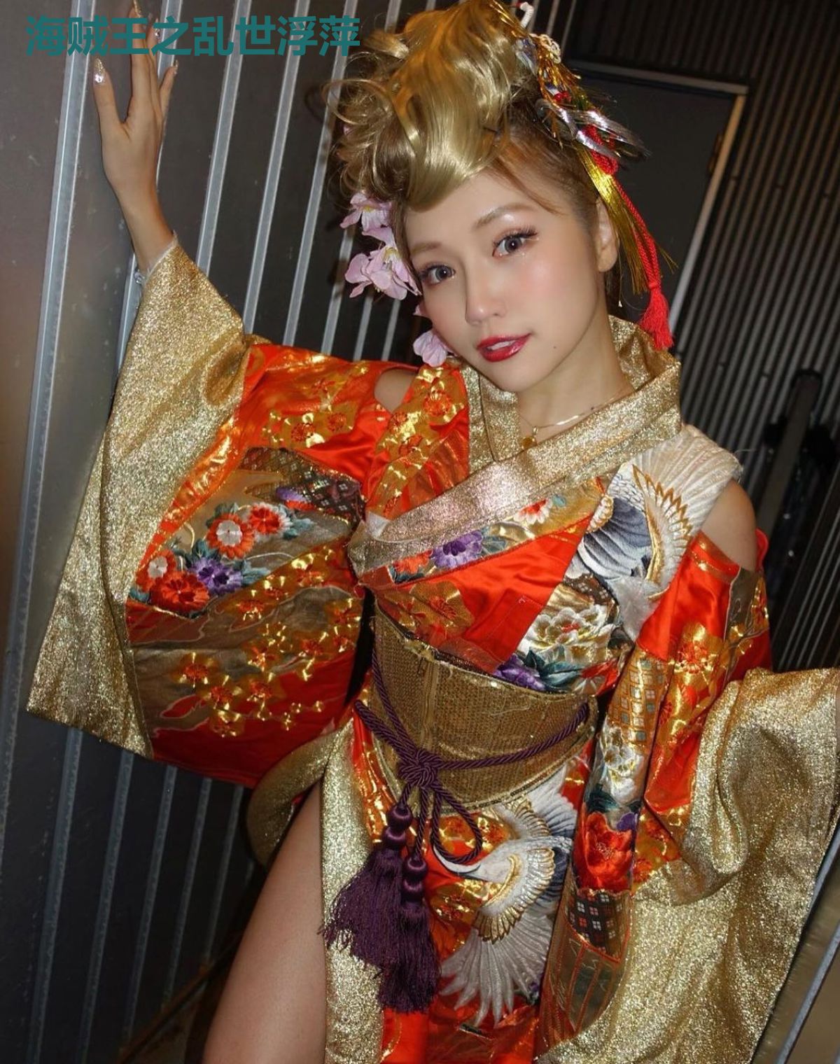 海贼王之乱世浮萍