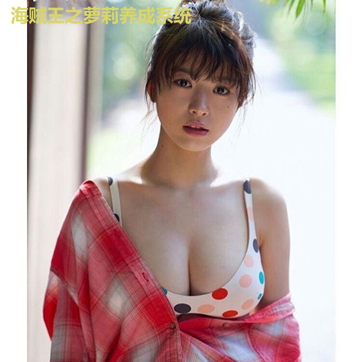 海贼王之萝莉养成系统