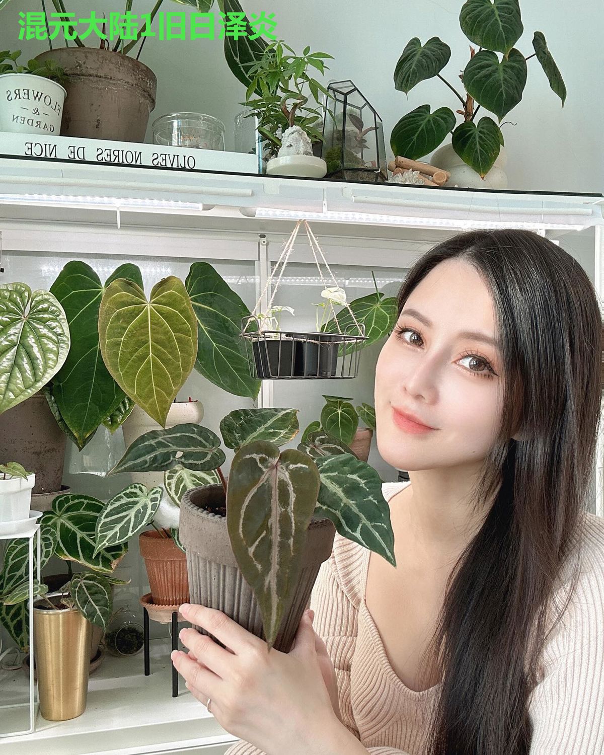 混元大陆1旧日泽炎