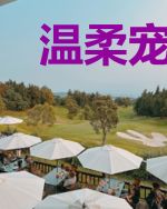 温柔宠爱小萌妻方温柔